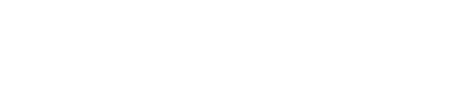 Logo Photo Magazin ZOOM